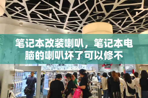 笔记本改装喇叭，笔记本电脑的喇叭坏了可以修不-第1张图片-星选测评