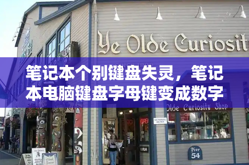 笔记本个别键盘失灵，笔记本电脑键盘字母键变成数字键