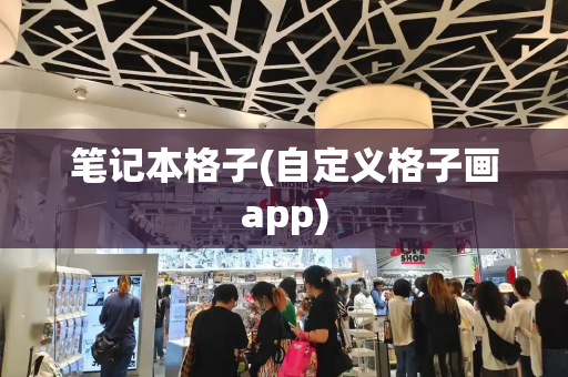 笔记本格子(自定义格子画app)