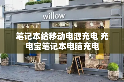 笔记本给移动电源充电 充电宝笔记本电脑充电
