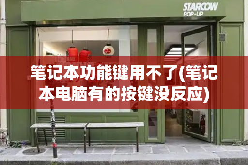 笔记本功能键用不了(笔记本电脑有的按键没反应)-第1张图片-星选测评