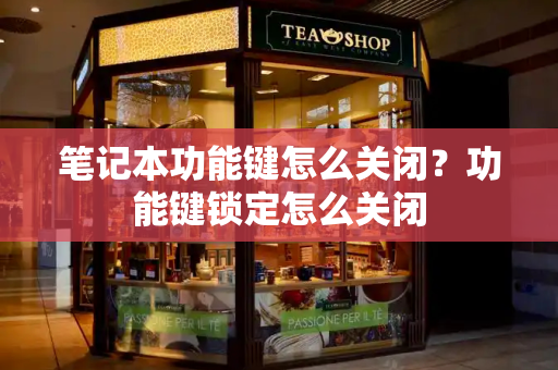 笔记本功能键怎么关闭？功能键锁定怎么关闭-第1张图片-星选测评