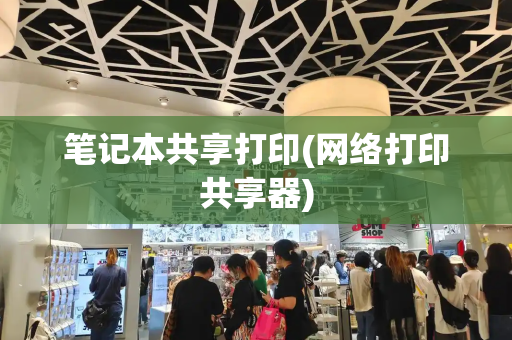 笔记本共享打印(网络打印共享器)-第1张图片-星选测评