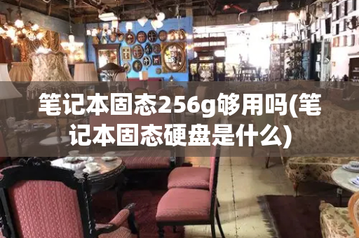 笔记本固态256g够用吗(笔记本固态硬盘是什么)