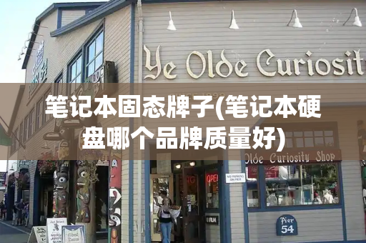 笔记本固态牌子(笔记本硬盘哪个品牌质量好)
