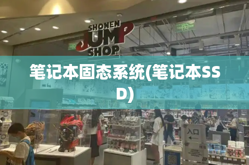 笔记本固态系统(笔记本SSD)