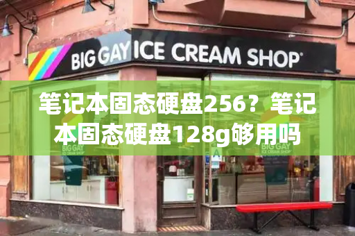 笔记本固态硬盘256？笔记本固态硬盘128g够用吗-第1张图片-星选测评