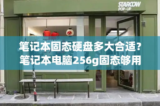 笔记本固态硬盘多大合适？笔记本电脑256g固态够用吗