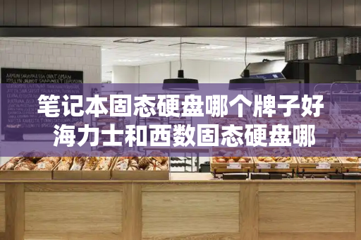 笔记本固态硬盘哪个牌子好 海力士和西数固态硬盘哪个好-第1张图片-星选测评