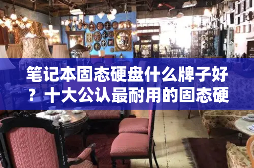 笔记本固态硬盘什么牌子好？十大公认最耐用的固态硬盘