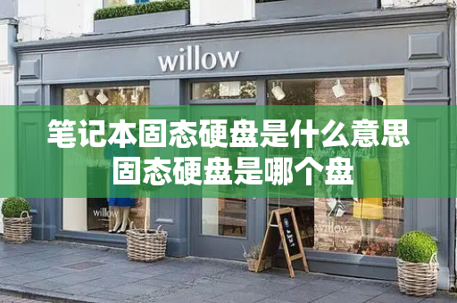 笔记本固态硬盘是什么意思 固态硬盘是哪个盘