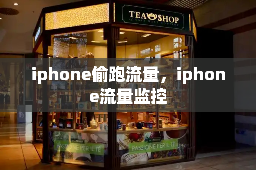 iphone偷跑流量，iphone流量监控-第1张图片-星选测评