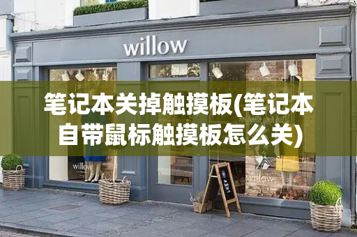 笔记本关掉触摸板(笔记本自带鼠标触摸板怎么关)