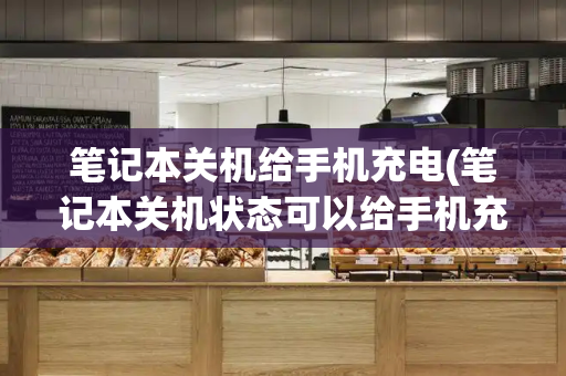 笔记本关机给手机充电(笔记本关机状态可以给手机充电吗)-第1张图片-星选测评