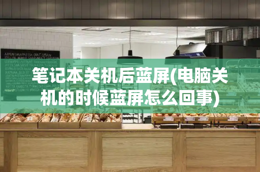 笔记本关机后蓝屏(电脑关机的时候蓝屏怎么回事)-第1张图片-星选测评