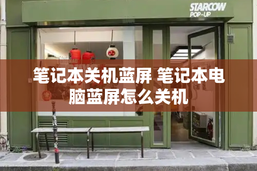 笔记本关机蓝屏 笔记本电脑蓝屏怎么关机-第1张图片-星选测评