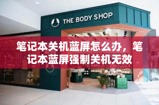 笔记本关机蓝屏怎么办，笔记本蓝屏强制关机无效-第1张图片-星选测评