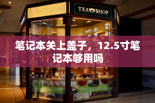 笔记本关上盖子，12.5寸笔记本够用吗-第1张图片-星选测评