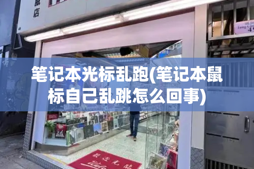 笔记本光标乱跑(笔记本鼠标自己乱跳怎么回事)-第1张图片-星选测评