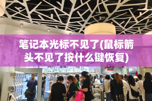 笔记本光标不见了(鼠标箭头不见了按什么键恢复)