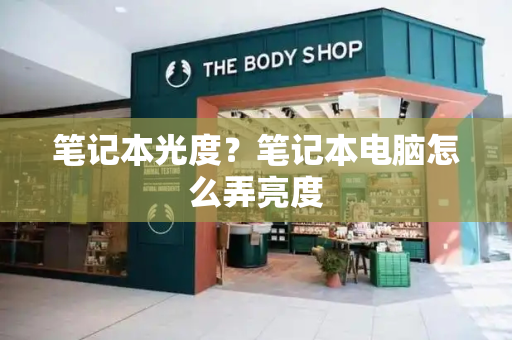 笔记本光度？笔记本电脑怎么弄亮度-第1张图片-星选测评