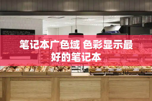 笔记本广色域 色彩显示最好的笔记本