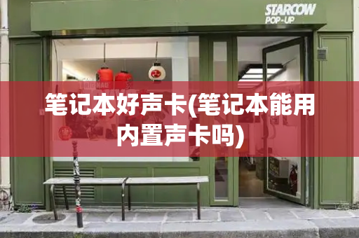 笔记本好声卡(笔记本能用内置声卡吗)-第1张图片-星选测评