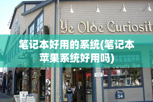 笔记本好用的系统(笔记本苹果系统好用吗)-第1张图片-星选测评