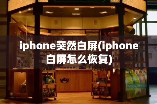 iphone突然白屏(iphone白屏怎么恢复)-第1张图片-星选测评