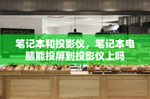 笔记本和投影仪，笔记本电脑能投屏到投影仪上吗-第1张图片-星选测评
