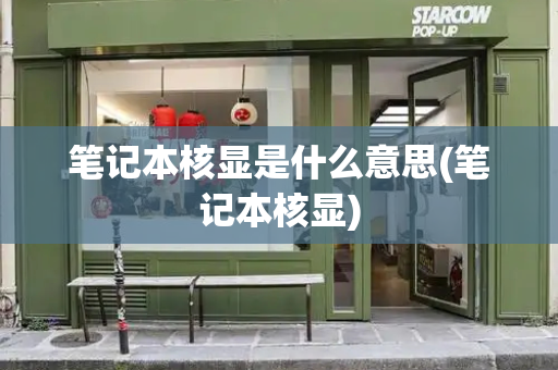 笔记本核显是什么意思(笔记本核显)-第1张图片-星选测评
