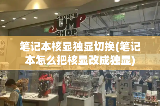 笔记本核显独显切换(笔记本怎么把核显改成独显)