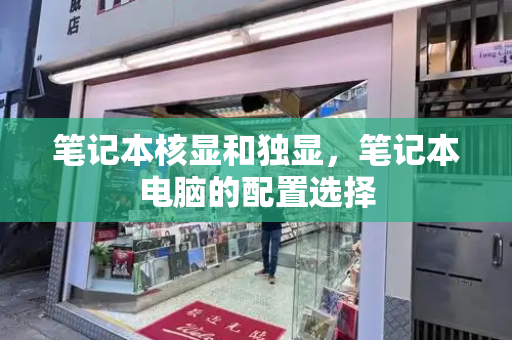 笔记本核显和独显，笔记本电脑的配置选择-第1张图片-星选测评