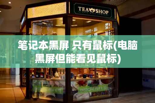 笔记本黑屏 只有鼠标(电脑黑屏但能看见鼠标)