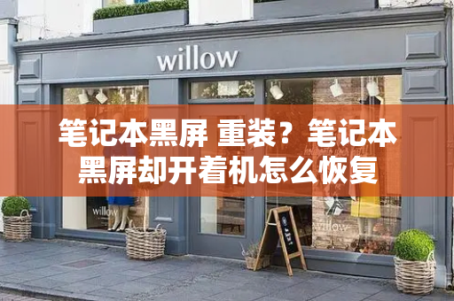 笔记本黑屏 重装？笔记本黑屏却开着机怎么恢复-第1张图片-星选测评
