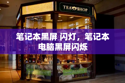 笔记本黑屏 闪灯，笔记本电脑黑屏闪烁-第1张图片-星选测评