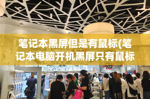 笔记本黑屏但是有鼠标(笔记本电脑开机黑屏只有鼠标箭头)
