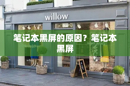 笔记本黑屏的原因？笔记本黑屏