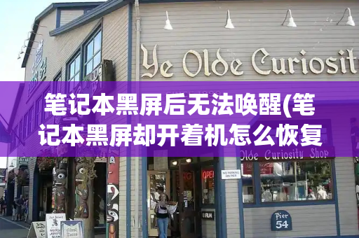 笔记本黑屏后无法唤醒(笔记本黑屏却开着机怎么恢复)