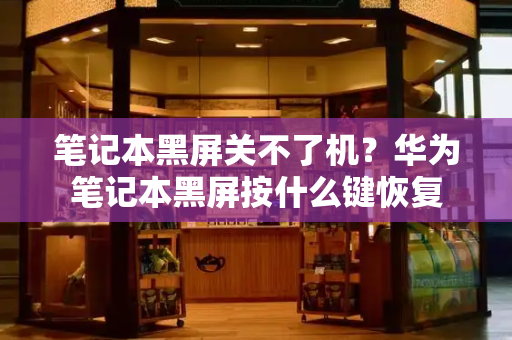 笔记本黑屏关不了机？华为笔记本黑屏按什么键恢复-第1张图片-星选测评