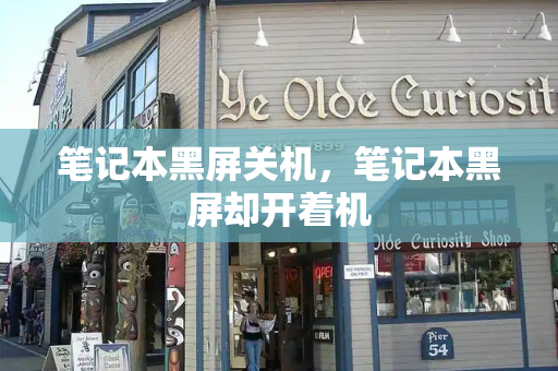 笔记本黑屏关机，笔记本黑屏却开着机-第1张图片-星选测评