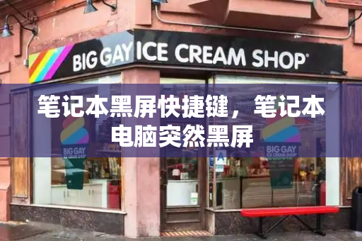 笔记本黑屏快捷键，笔记本电脑突然黑屏-第1张图片-星选测评