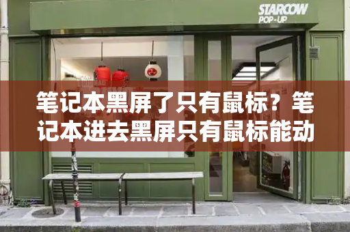 笔记本黑屏了只有鼠标？笔记本进去黑屏只有鼠标能动-第1张图片-星选测评