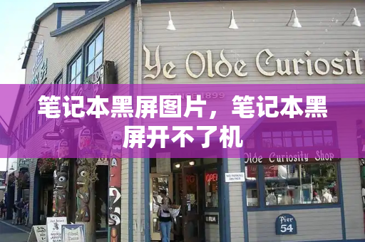 笔记本黑屏图片，笔记本黑屏开不了机-第1张图片-星选测评
