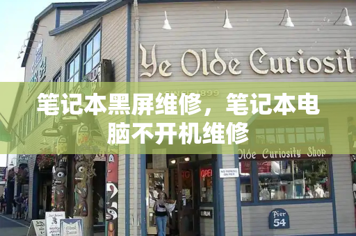 笔记本黑屏维修，笔记本电脑不开机维修-第1张图片-星选测评