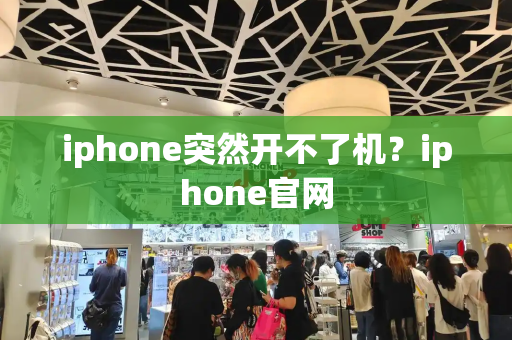 iphone突然开不了机？iphone官网-第1张图片-星选测评
