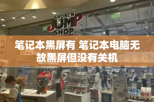 笔记本黑屏有 笔记本电脑无故黑屏但没有关机