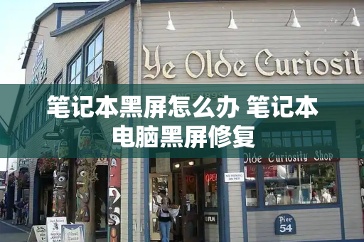笔记本黑屏怎么办 笔记本电脑黑屏修复