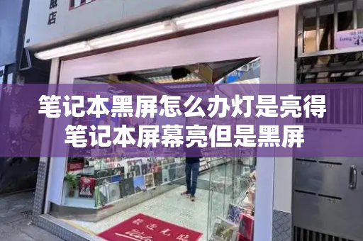 笔记本黑屏怎么办灯是亮得 笔记本屏幕亮但是黑屏
