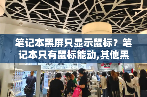 笔记本黑屏只显示鼠标？笔记本只有鼠标能动,其他黑屏-第1张图片-星选测评